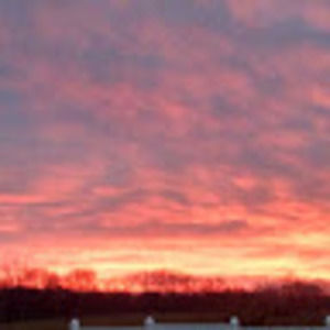 Meet your Posher, Katrina